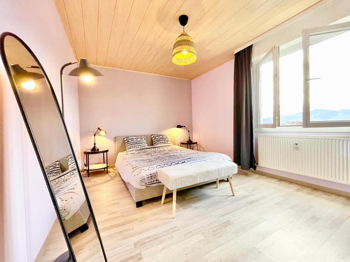 Апартаменты Colmar - La Cigogne - Balcon - Vue Degagee - Netflix - Wifi Fibre - Parking Gratuit - Quartier Populaire Экстерьер фото